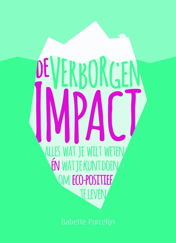 De verborgen impact – Babette Porcelijn – boek cover