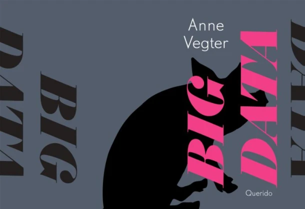 Big data – Anne Vegter – boek cover