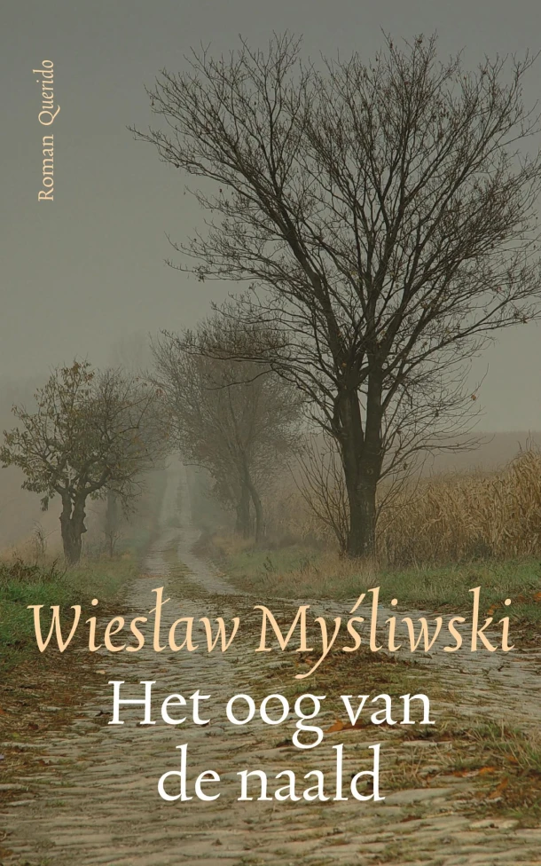 Het oog van de naald – Wieslaw Mysliwski – boek cover