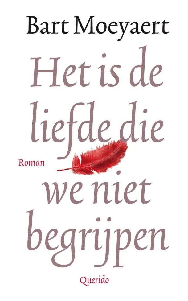 Het is de liefde die we niet begrijpen – Bart Moeyaert – boek cover