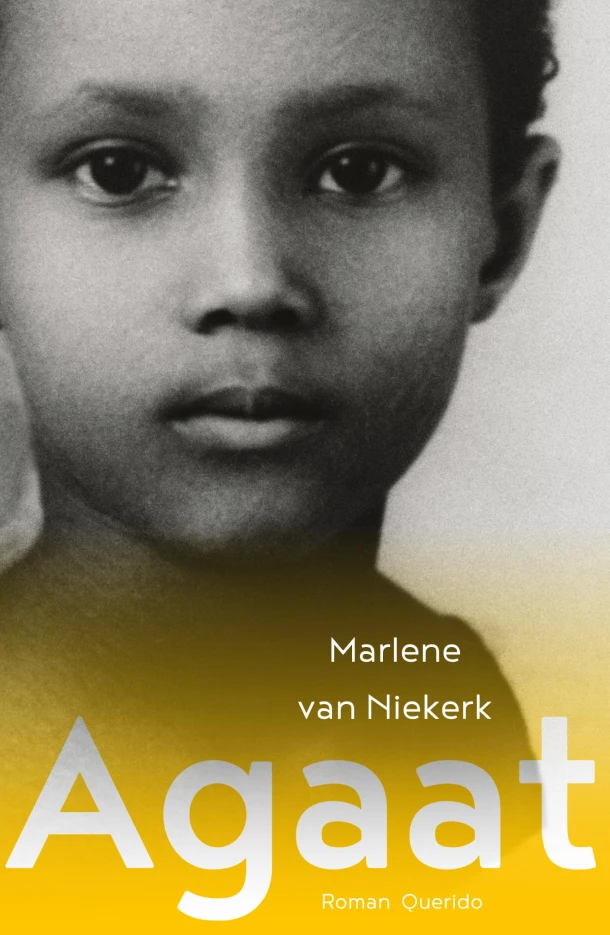 Agaat – Marlene van Niekerk – boek cover