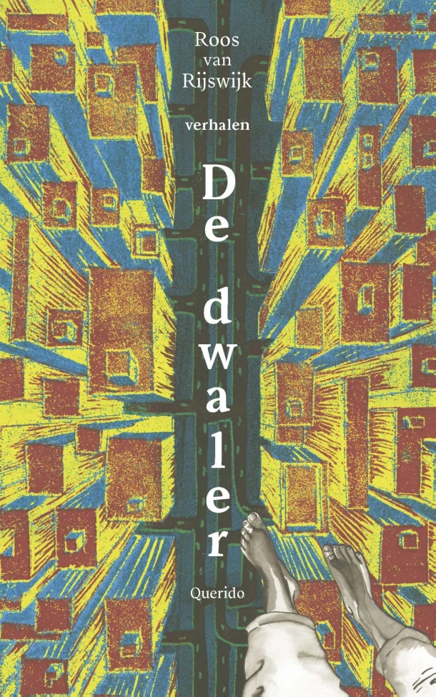 De dwaler – Roos van Rijswijk – boek cover