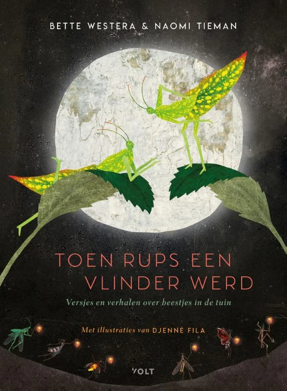 Toen Rups een vlinder werd – Bette Westera – boek cover