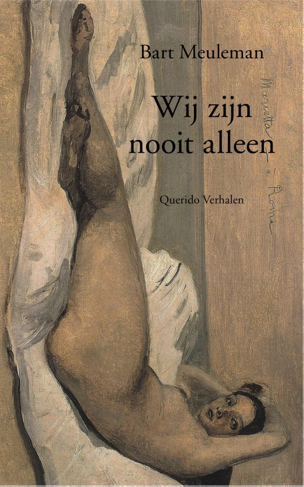 Wij zijn nooit alleen – Bart Meuleman – boek cover