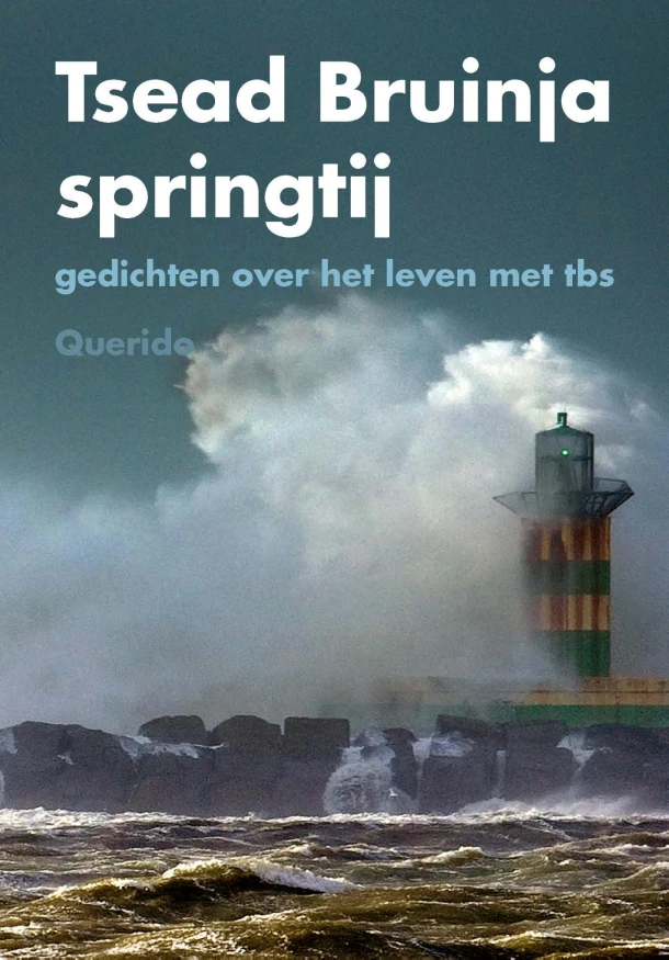 Springtij – Tsead Bruinja – boek cover