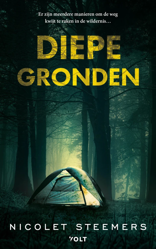 Diepe gronden – Nicolet Steemers – boek cover