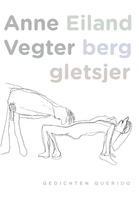 Eiland berg gletsjer – Anne Vegter – boek cover