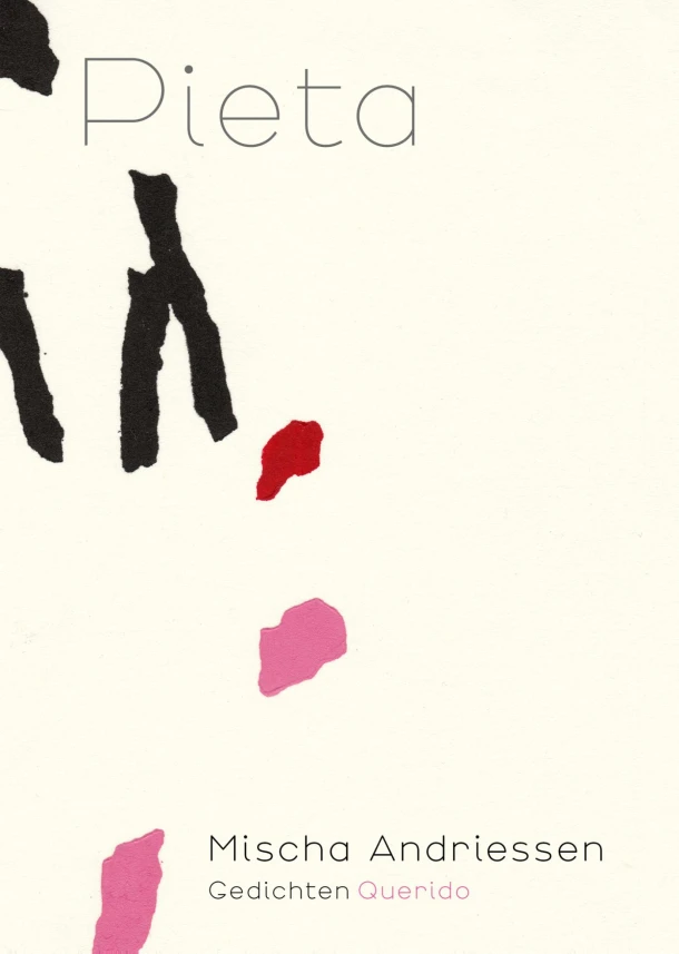 Pieta – Mischa Andriessen – boek cover