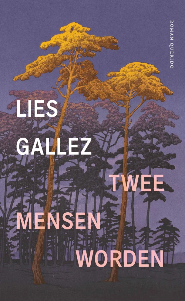 Twee mensen worden – Lies Gallez – boek cover