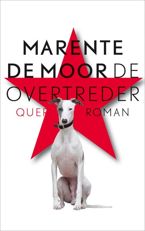 De overtreder – Marente de Moor – boek cover