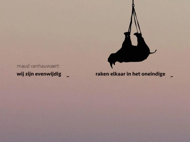 Wij zijn evenwijdig – Maud Vanhauwaert – boek cover