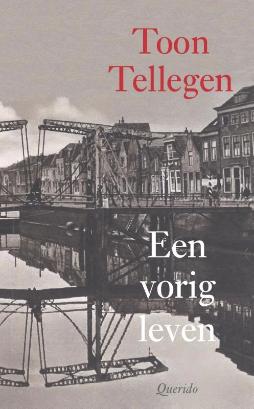 Een vorig leven – Toon Tellegen – boek cover