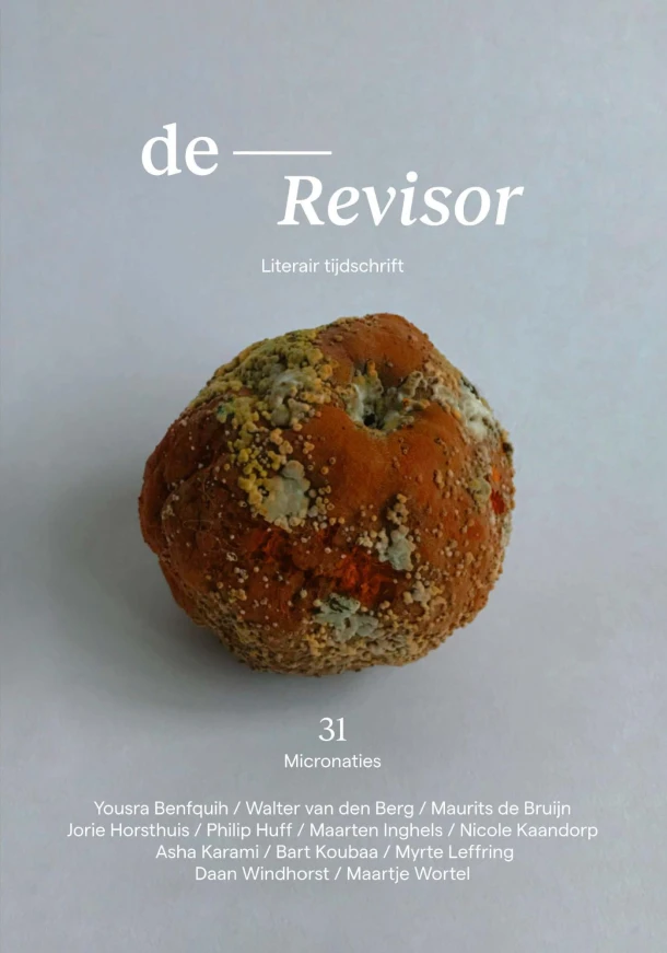 Revisor 31 – Diverse Auteurs – boek cover