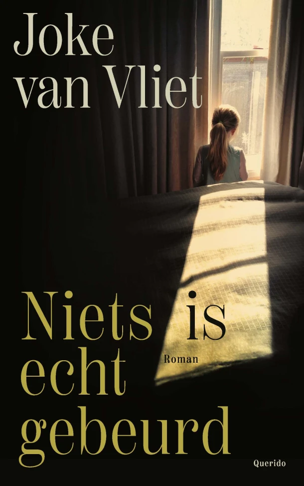 Niets is echt gebeurd – Joke van Vliet – boek cover