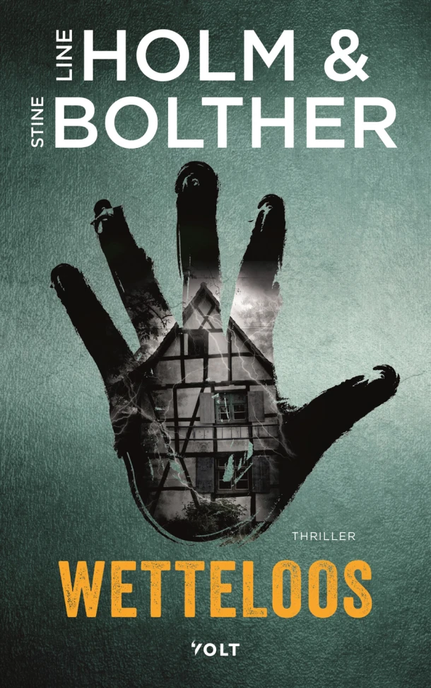 Wetteloos – Line Holm – boek cover