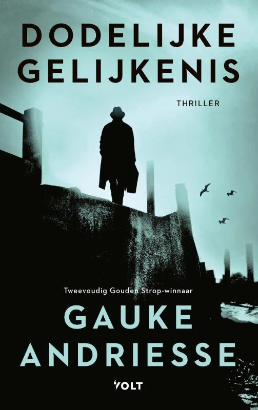 Dodelijke gelijkenis – Gauke Andriesse – boek cover