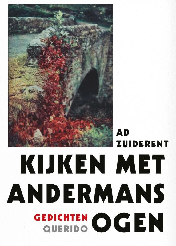 Kijken met andermans ogen – Ad Zuiderent – boek cover