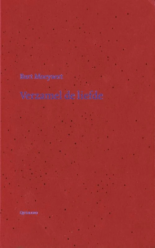 Verzamel de liefde – boek cover