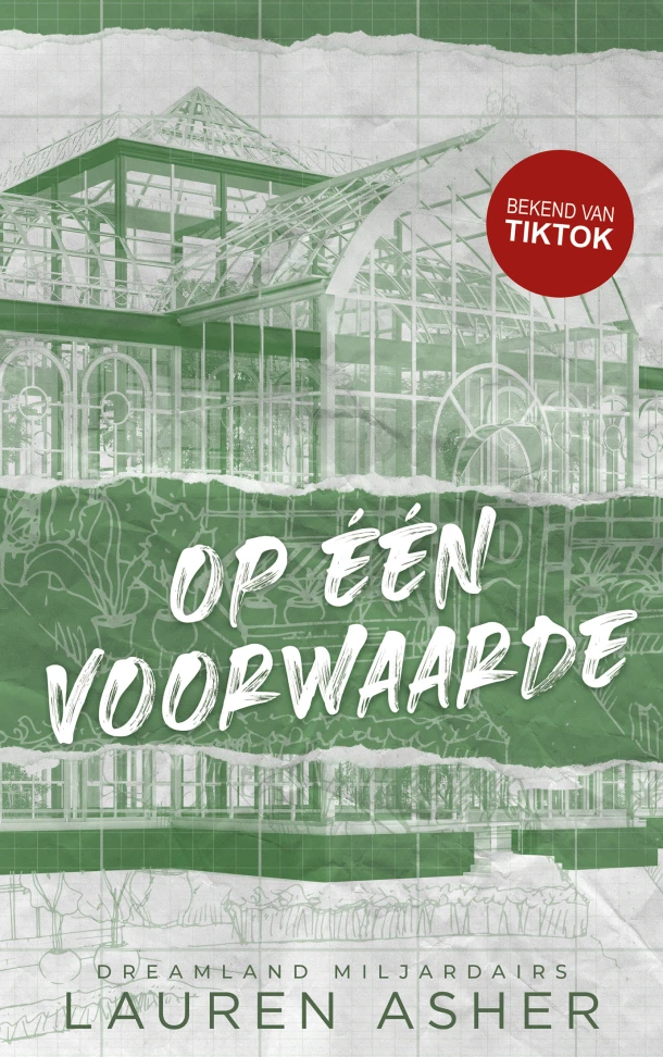 Op één voorwaarde – Lauren Asher – boek cover