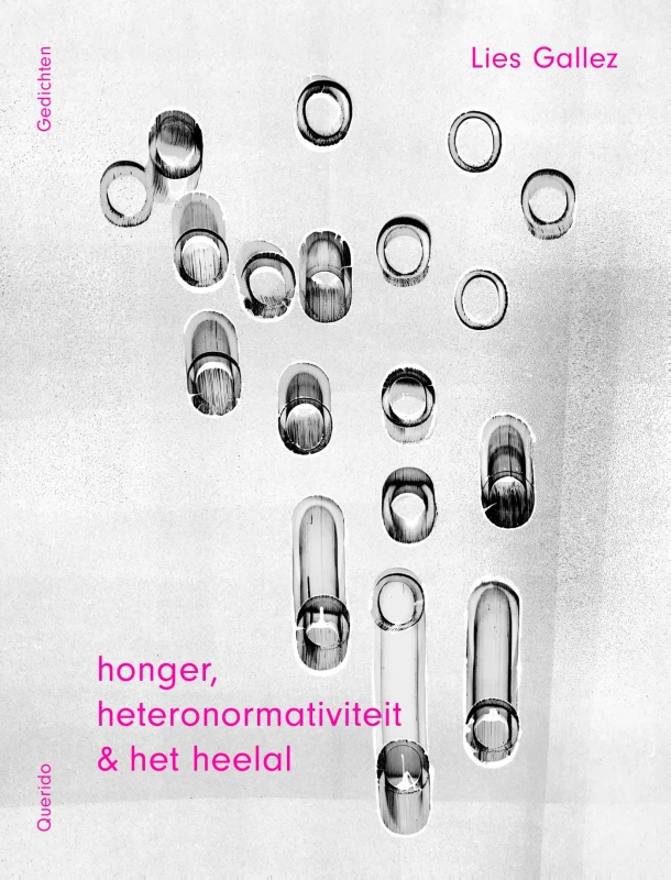 honger, heteronormativiteit & het heelal – Lies Gallez – boek cover