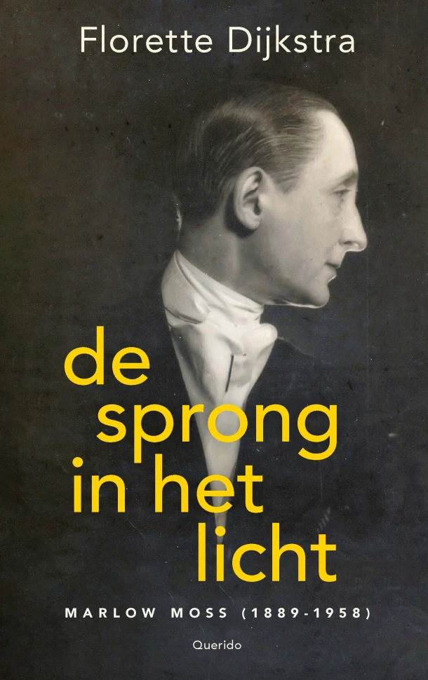 De sprong in het licht – Florette Dijkstra – boek cover