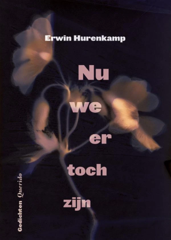 Nu we er toch zijn – Erwin Hurenkamp – boek cover