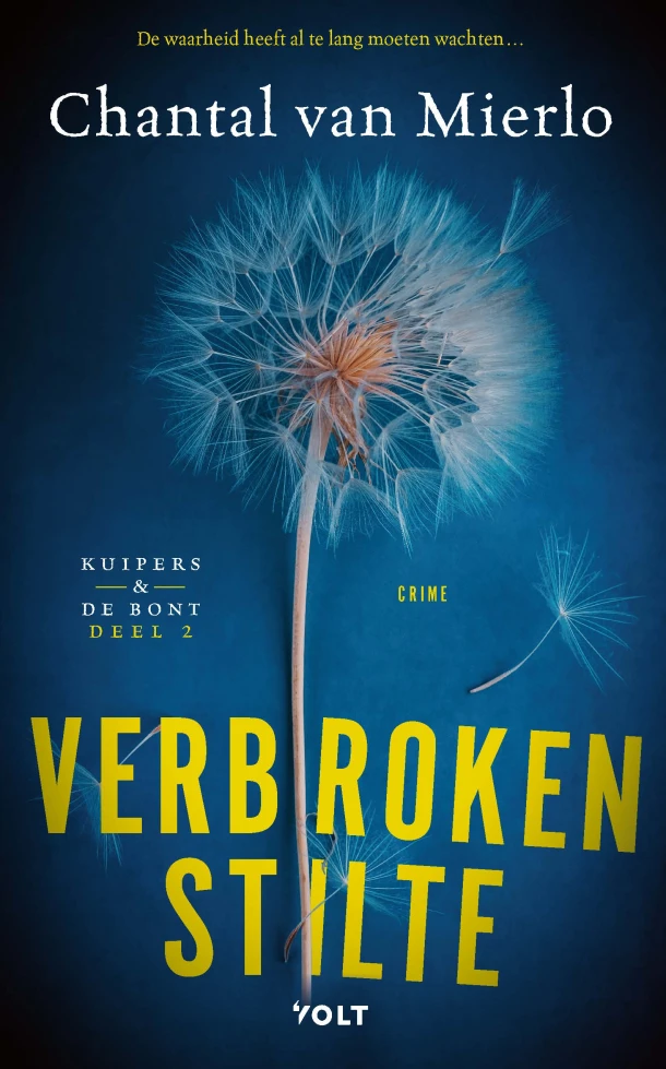 Verbroken stilte – Chantal van Mierlo – boek cover