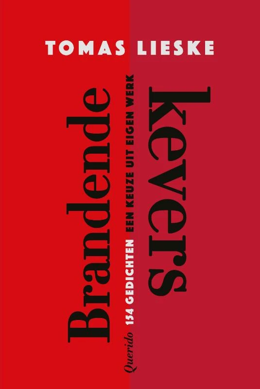 Brandende kevers – Tomas Lieske – boek cover