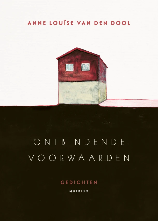 Ontbindende voorwaarden – Anne Louïse van den Dool – boek cover