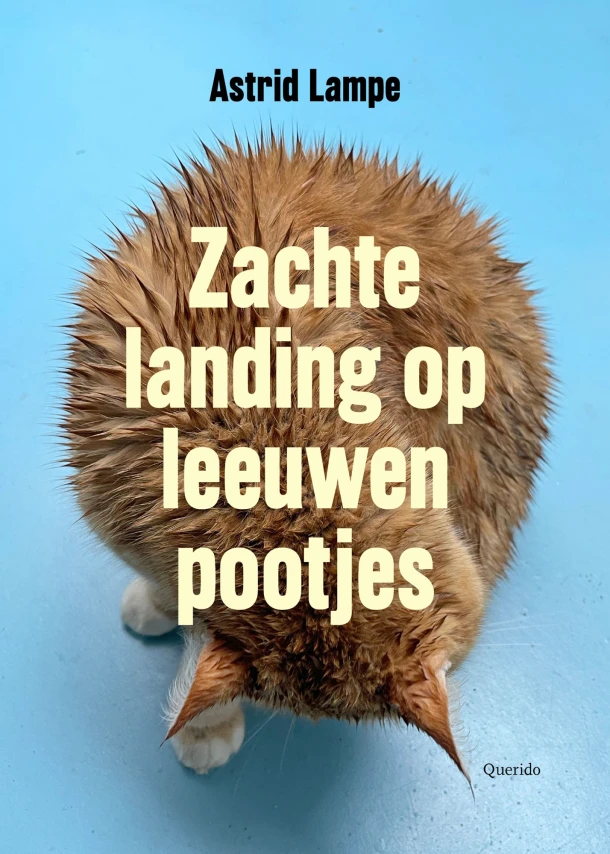 Zachte landing op leeuwenpootjes – Astrid Lampe – boek cover