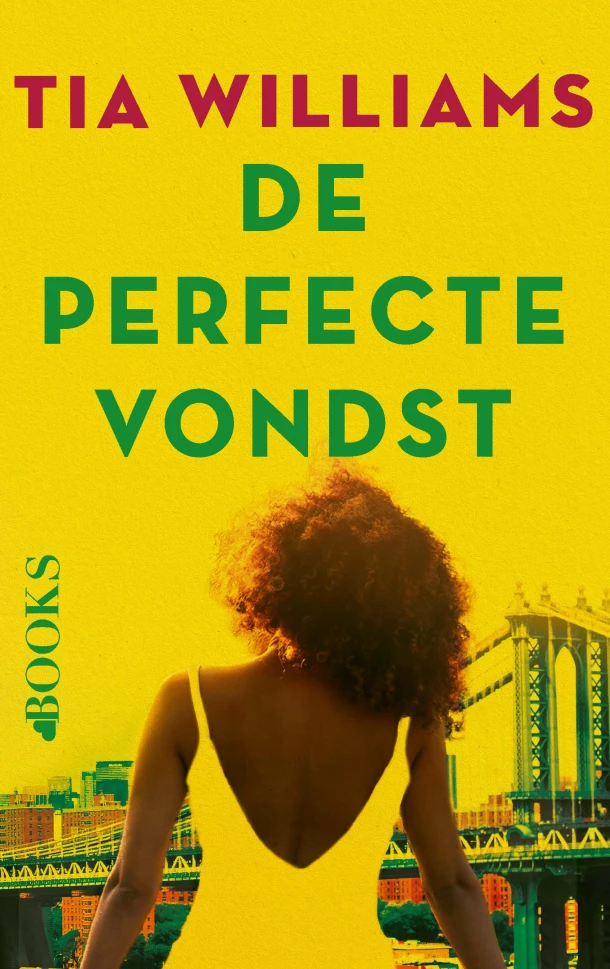 De perfecte vondst – Tia Williams – boek cover