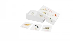 Vogels – Christine Berrie – boek cover