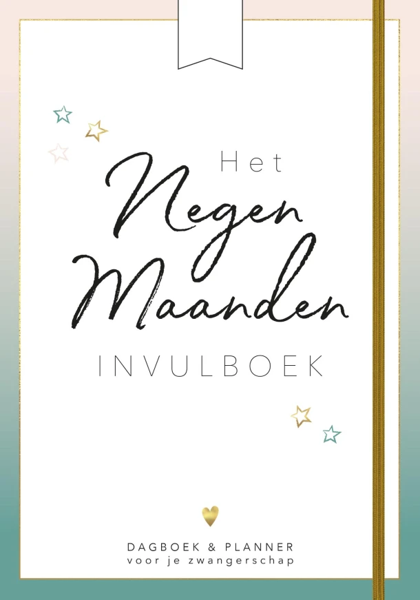 Het negen maanden invulboek – Eva Reinders – boek cover