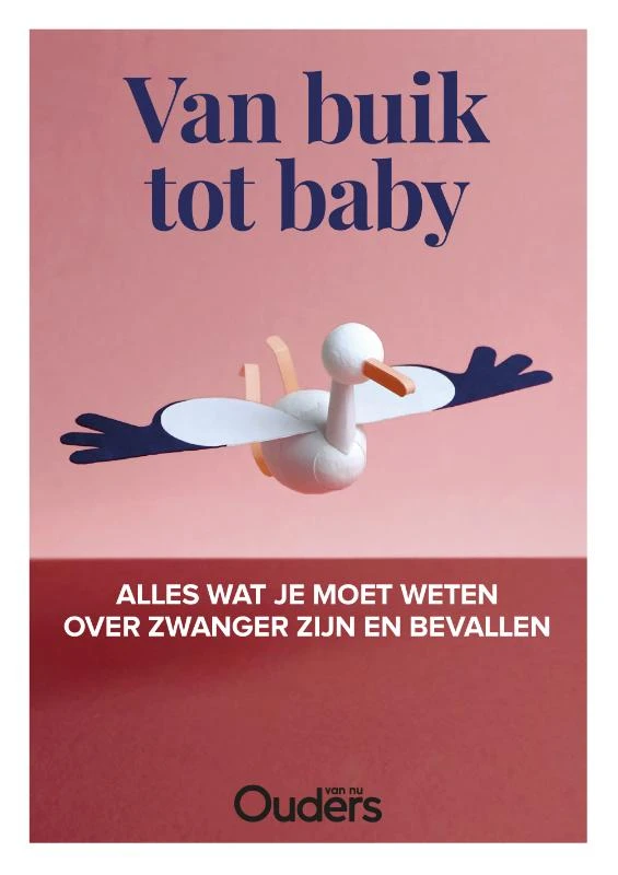 Van buik tot baby