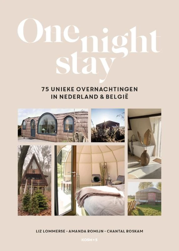 One Night Stay – Liz Lommerse – boek cover