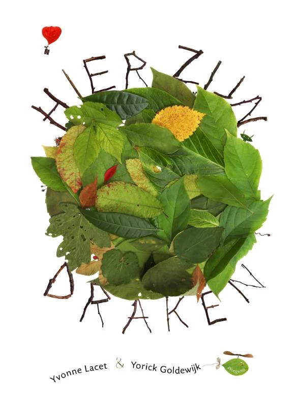 Hier zijn draken – Yorick Goldewijk – boek cover