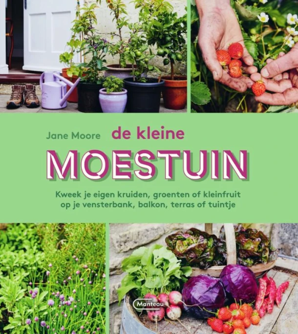 De kleine moestuin – Jane Moore – boek cover