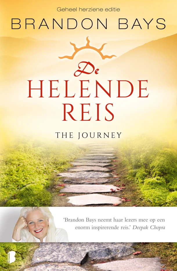 De helende reis – Brandon Bays – boek cover
