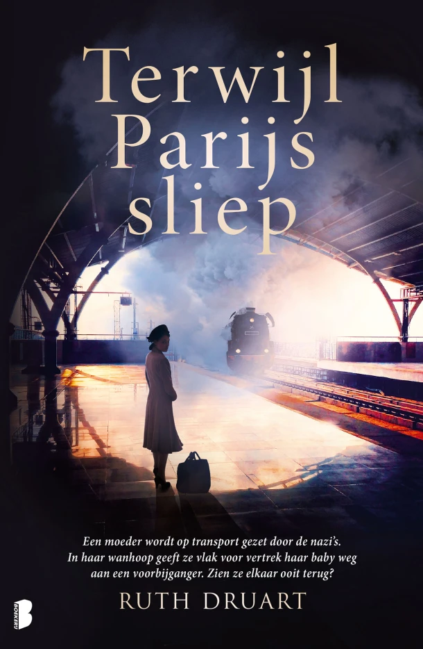 Terwijl Parijs sliep – Ruth Druart – boek cover