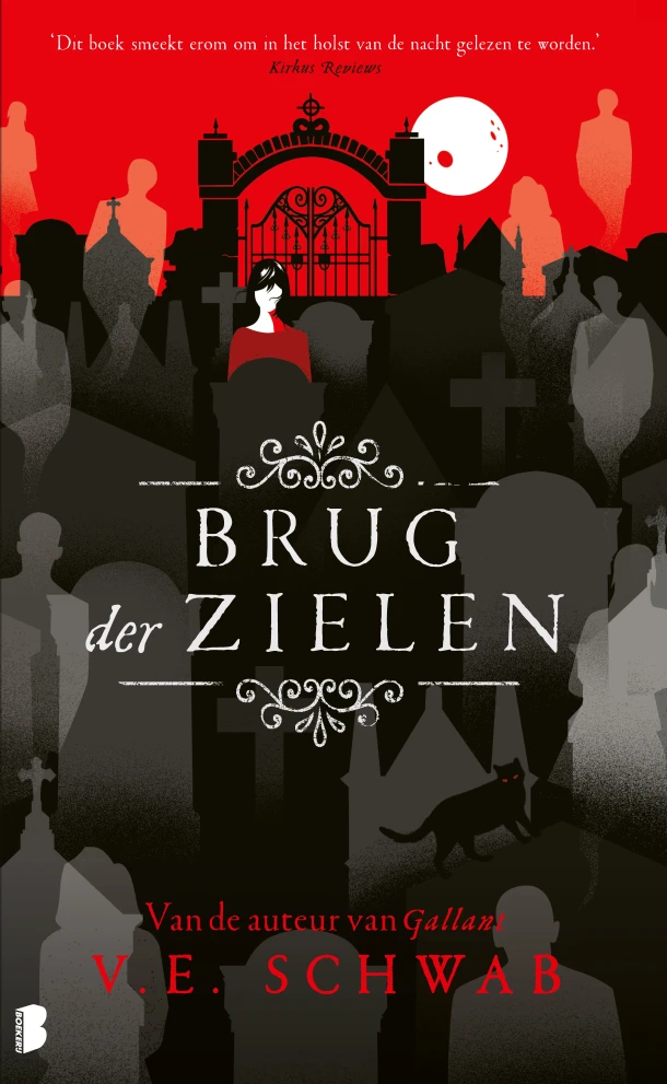 Brug der zielen – V.E. Schwab – boek cover