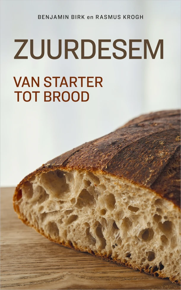 Zuurdesem – Benjamin Birk – boek cover