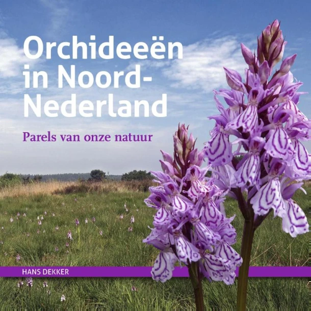 Orchideeën in Noord-Nederland – Hans Dekker – boek cover