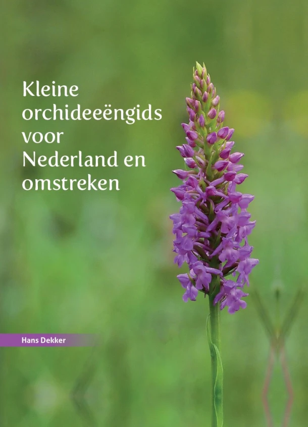 Kleine orchideeëngids voor Nederland en omstreken – Hans Dekker – boek cover