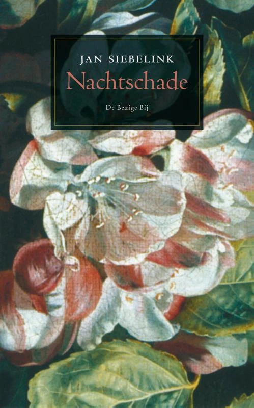 Nachtschade – Jan Siebelink – boek cover