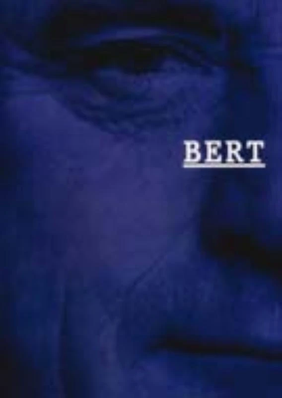 Bert en het beeld – Bert Schierbeek – boek cover