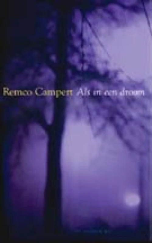 Als in een droom – Remco Campert – boek cover