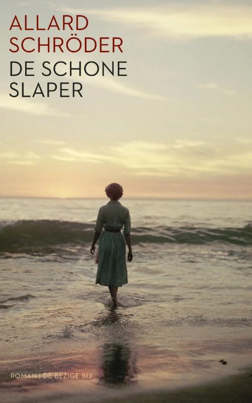 De schone slaper – Allard Schröder – boek cover