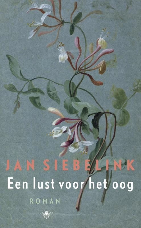 Een lust voor het oog – Jan Siebelink – boek cover
