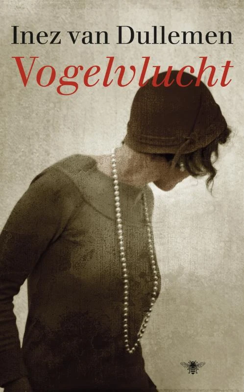 Vogelvlucht – Inez van Dullemen – boek cover