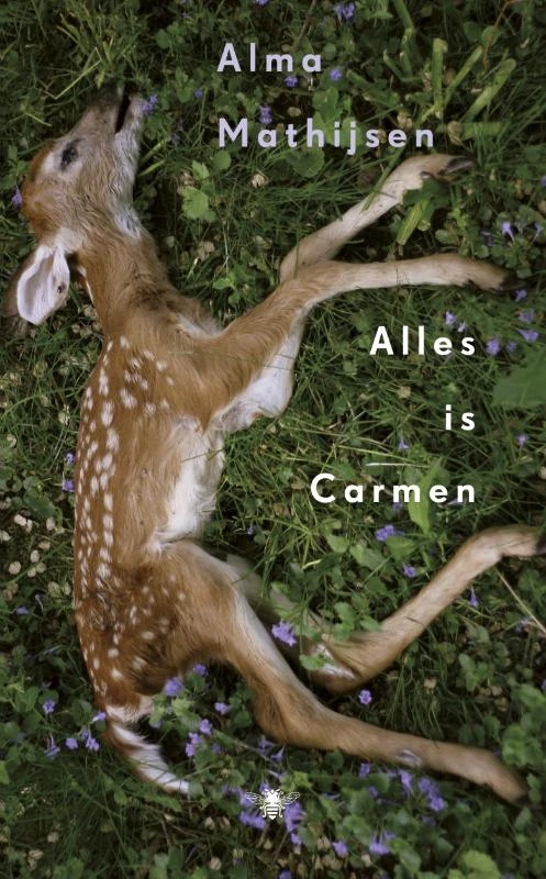 Alles is Carmen – Alma Mathijsen – boek cover